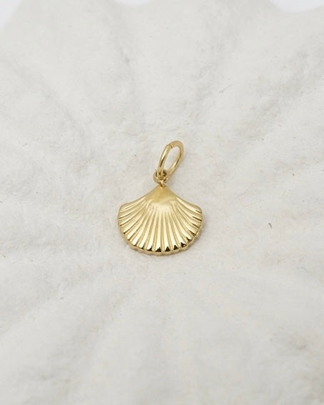 Small Shell Pendant